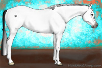Horse Color:Gray White Spotted Grullo