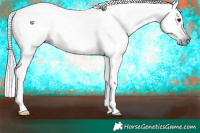 Horse Color:Gray Silver Grullo