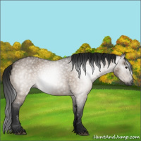Horse Color:Gray Brown Roan Dun 