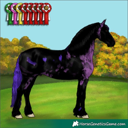Horse Color:ERROR: UNKNOWN ANOMALY