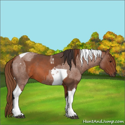 Horse Color:Bay Roan Tobiano  and Red Roan Tobiano 