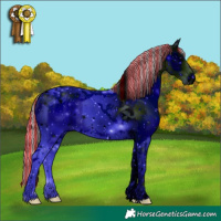 Horse Color:ERROR: UNKNOWN ANOMALY
