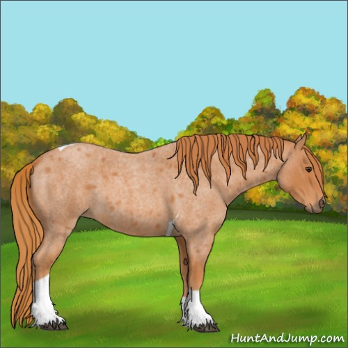 Horse Color:Red Roan Tobiano 