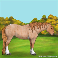 Horse Color:Red Roan Tobiano 