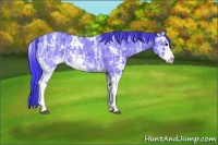 Horse Color:Watercolor Smoky Black Ice Sabino 