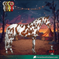 Horse Color:White Spotted Silver Brown Appaloosa 