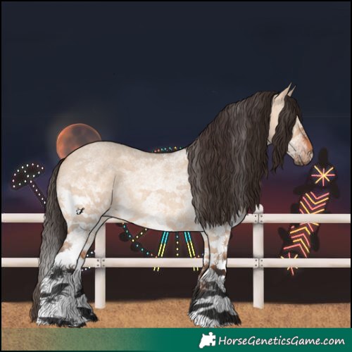 Horse Color:White Spotted Bay Roan Dun Rabicano