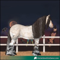 Horse Color:White Spotted Bay Roan Dun Rabicano 