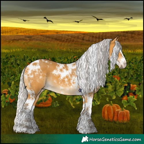 Horse Color:Silver Buckskin Splash Tobiano 
