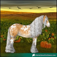 Horse Color:Silver Buckskin Splash Tobiano 