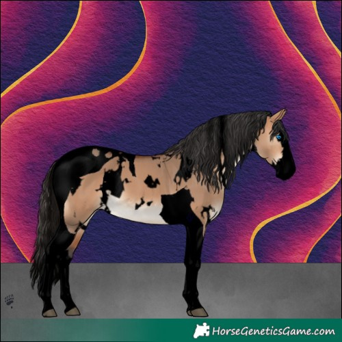 Horse Color:Void White Spotted Bay Dun Splash Tobiano 
