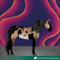 Horse Color:Void White Spotted Bay Dun Splash Tobiano 