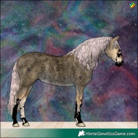 Horse Color:Void Painted White Spotted Palomino Roan Dun 