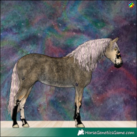 Horse Color:Void Painted White Spotted Palomino Roan Dun 