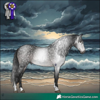 Horse Color:Gray Platinum Brown Tobiano Appaloosa Rabicano