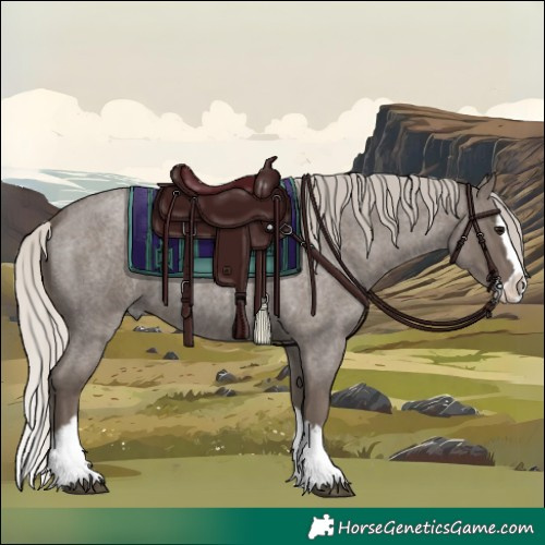 Horse Color:Silver Blue Roan Splash 