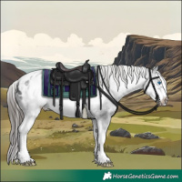 Horse Color:White Spotted Black Splash Frame Appaloosa Rabicano 