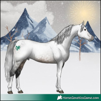 Horse Color:Gray Brown Dun Tobiano Rabicano