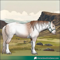 Horse Color:Gray Gold Champagne Tobiano 