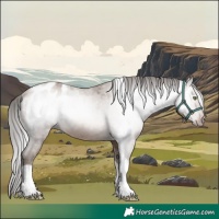 Horse Color:Gray Sable Champagne Tobiano Appaloosa 