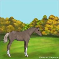 Horse Color:Silver Black