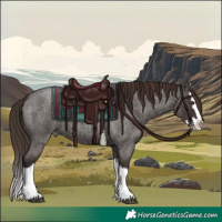 Horse Color:Liver Red Roan Splash 