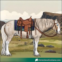 Horse Color:Chocolate Palomino Roan Dun Splash Rabicano