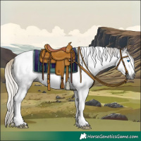 Horse Color:Gray Silver Smoky Black Tobiano Frame 
