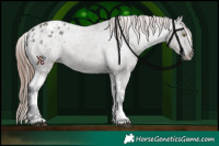 Horse Color:Grullo Tobiano Varnish 