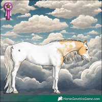 Horse Color:Palomino Sabino Splash Tobiano Appaloosa 