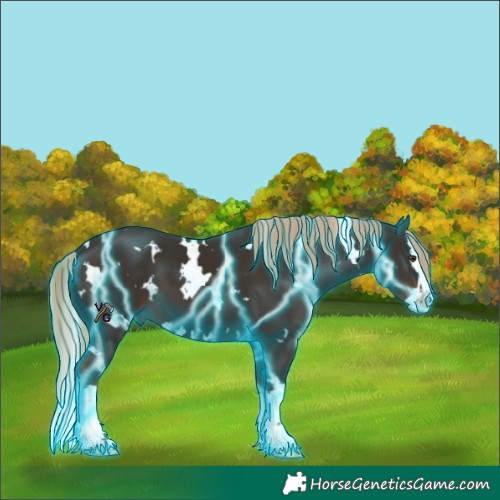 Horse Color:Thunderstruck White Spotted Liver Chestnut Splash 