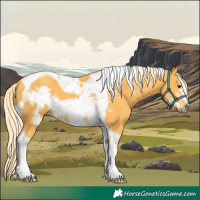 Horse Color:Palomino Tobiano Frame 