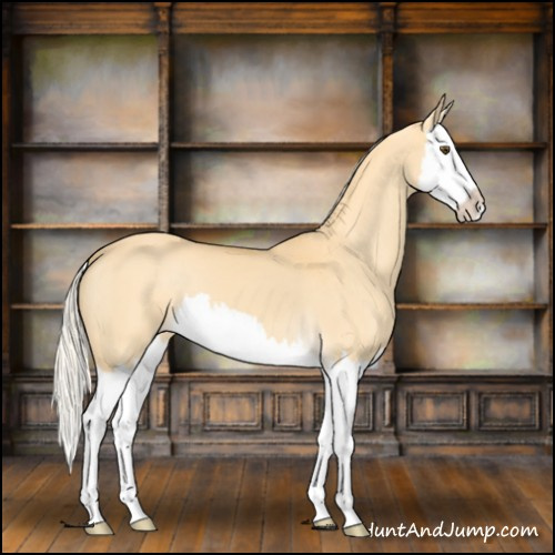 Horse Color:Palomino Dun Splash 