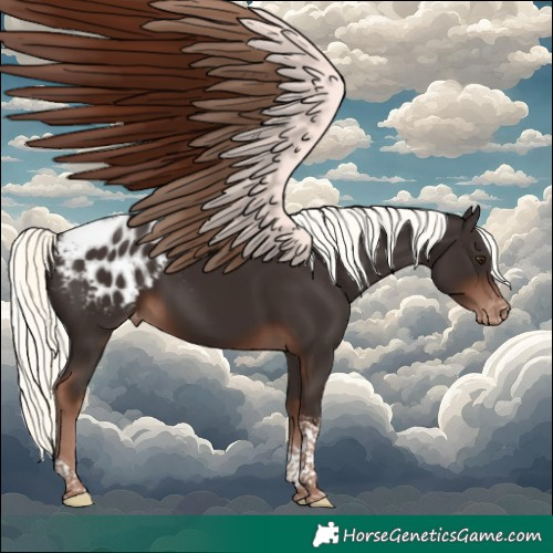 Horse Color:Liver Chestnut Mushroom Tobiano Appaloosa 