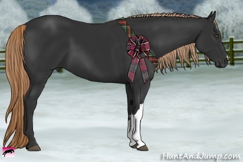 Horse Color:Liver Chestnut Frame 