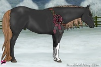 Horse Color:Liver Chestnut Frame