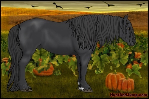 Horse Color:Black Frame 