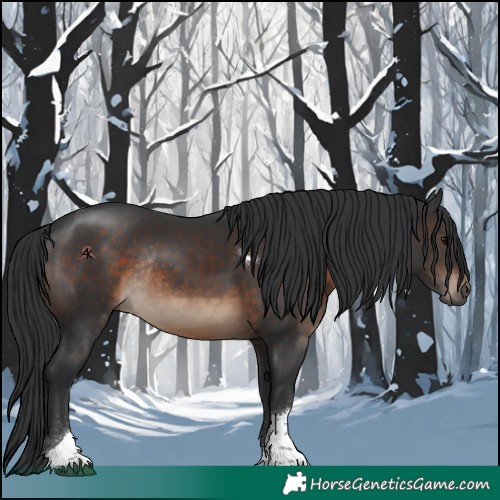 Horse Color:Brown Tobiano Rabicano 