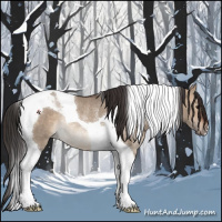 Horse Color:Brown Dun Tobiano Rabicano 