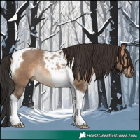 Horse Color:Brown Dun Tobiano Rabicano