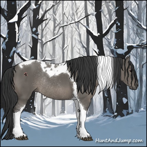 Horse Color:Grullo Tobiano Rabicano