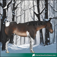 Horse Color:Brown Tobiano Rabicano