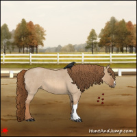 Horse Color:Red Dun Roan