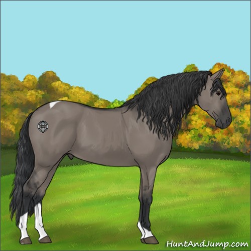 Horse Color:Grullo Tobiano 