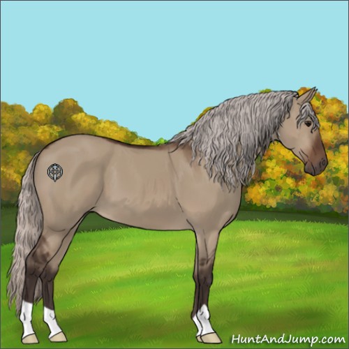 Horse Color:Silver Brown Dun 