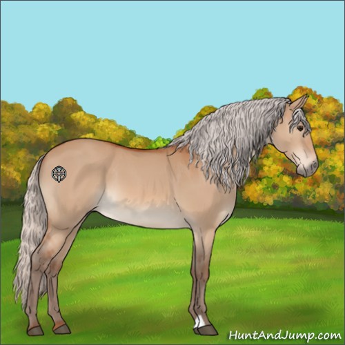 Horse Color:Silver Bay Dun 