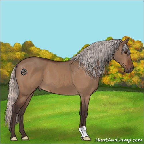 Horse Color:Silver Bay Dun 