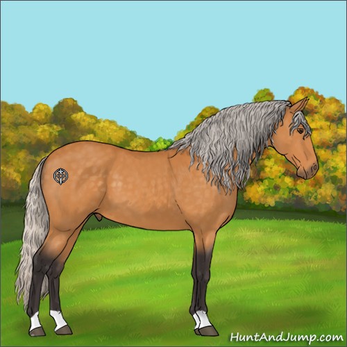 Horse Color:Silver Buckskin 