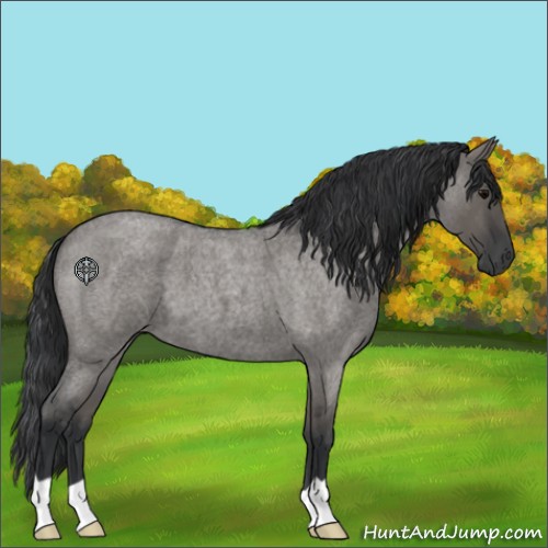 Horse Color:Grullo Roan 