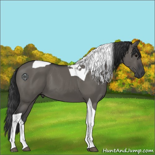 Horse Color:Grullo Tobiano 